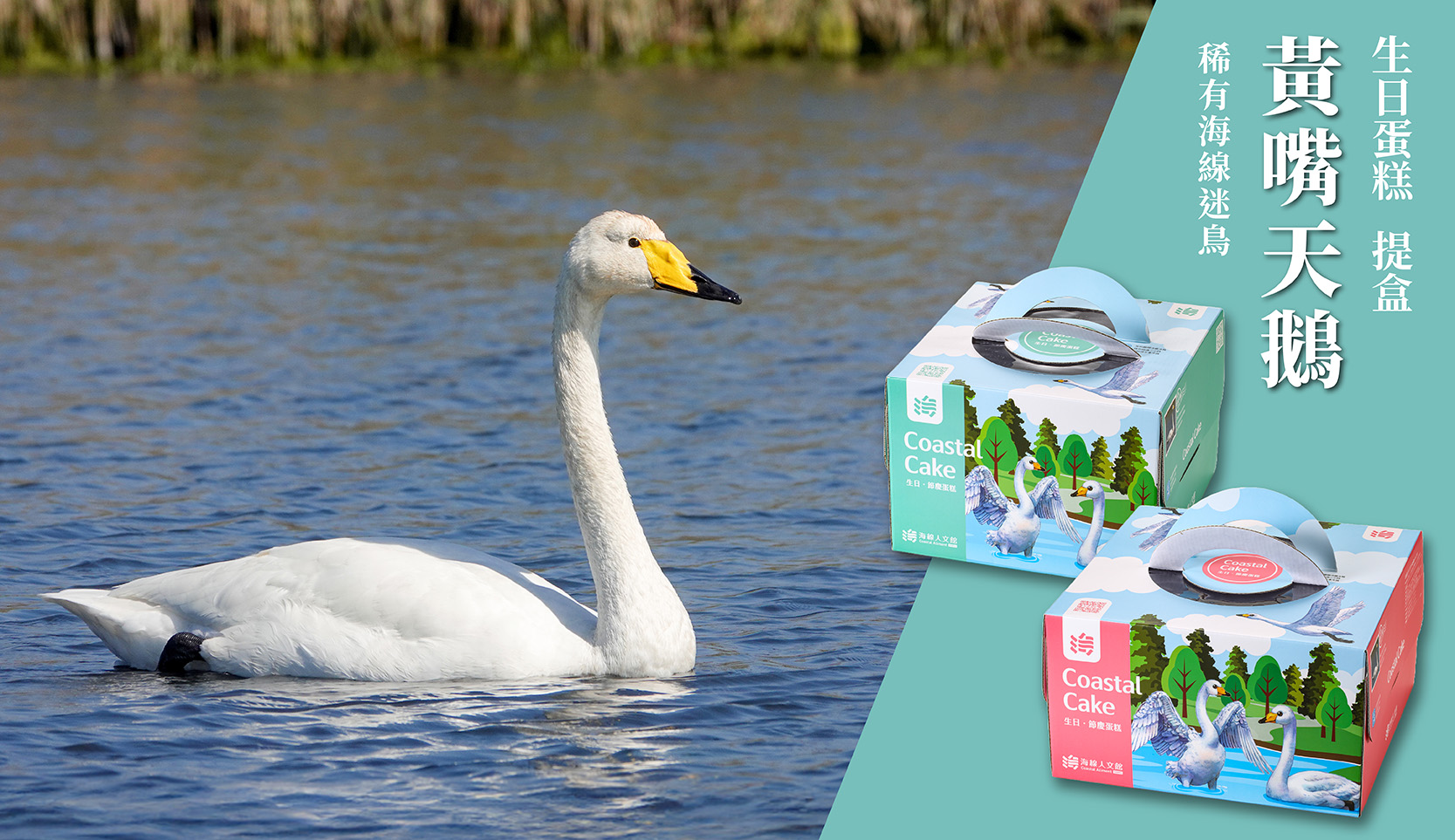 /packing/whooper_swan_cakebox